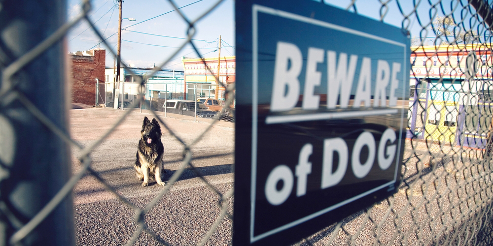 Dog Behind Gate