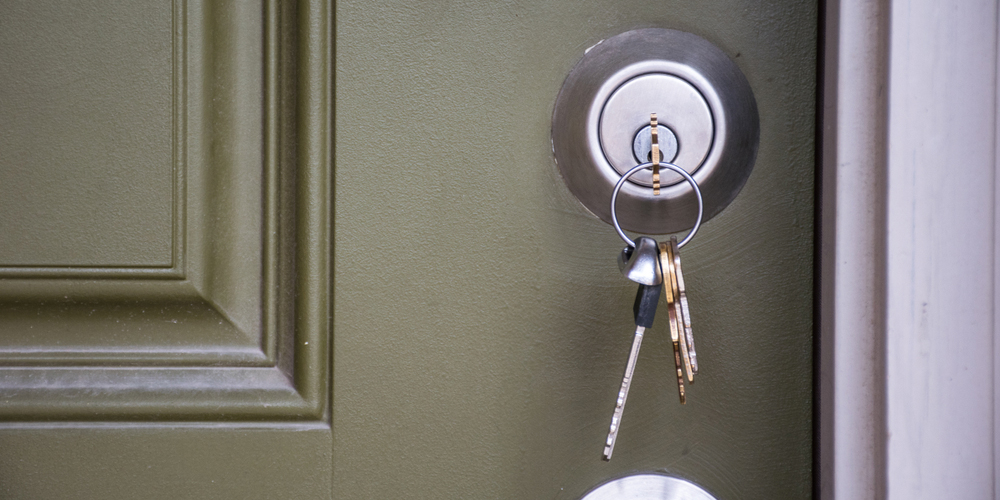 lockable door handles with keys